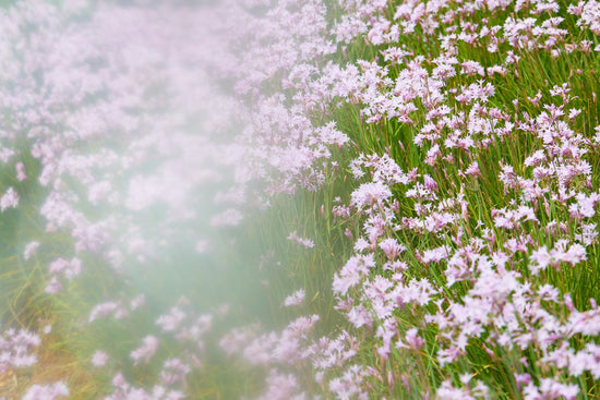 Practitioners Share Their Top New Mom Mental Health Tips - needed.