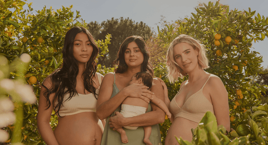 The Needed Labs Study - needed.