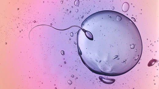Should we be prepping our bodies for Egg Freezing? - needed.