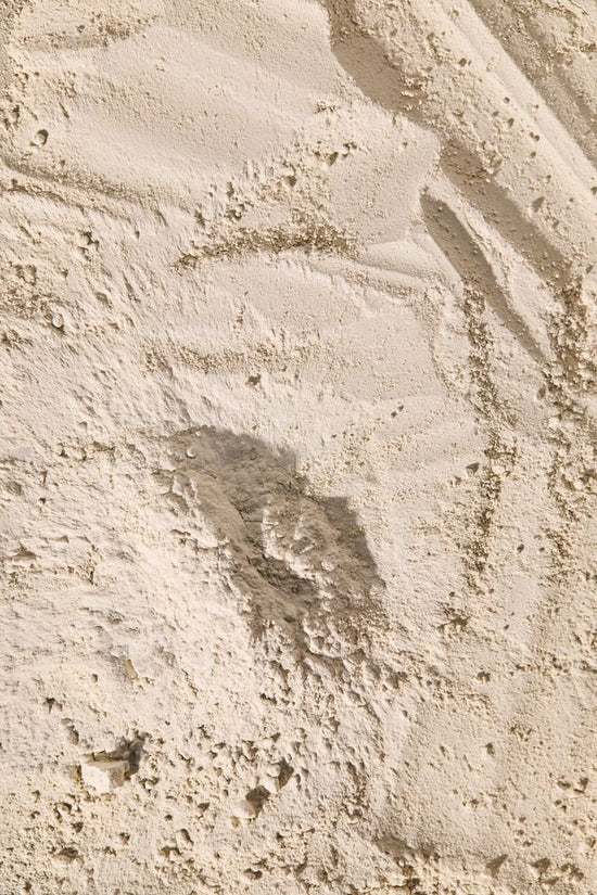 What Actually is Nutritional Depletion? - needed.