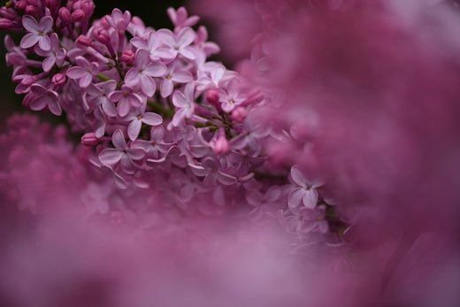 All You Need To Know About Perimenopause - needed.