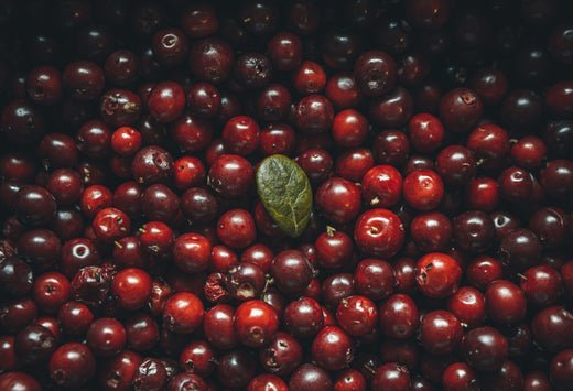 From Cranberries to Sweet Potatoes: Holiday Foods That Benefit Baby - needed.