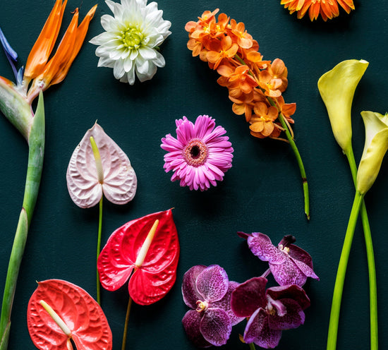 The Ultimate Guide to Breastmilk Color - needed