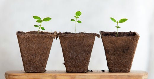 Signs A Man Is Fertile - needed.