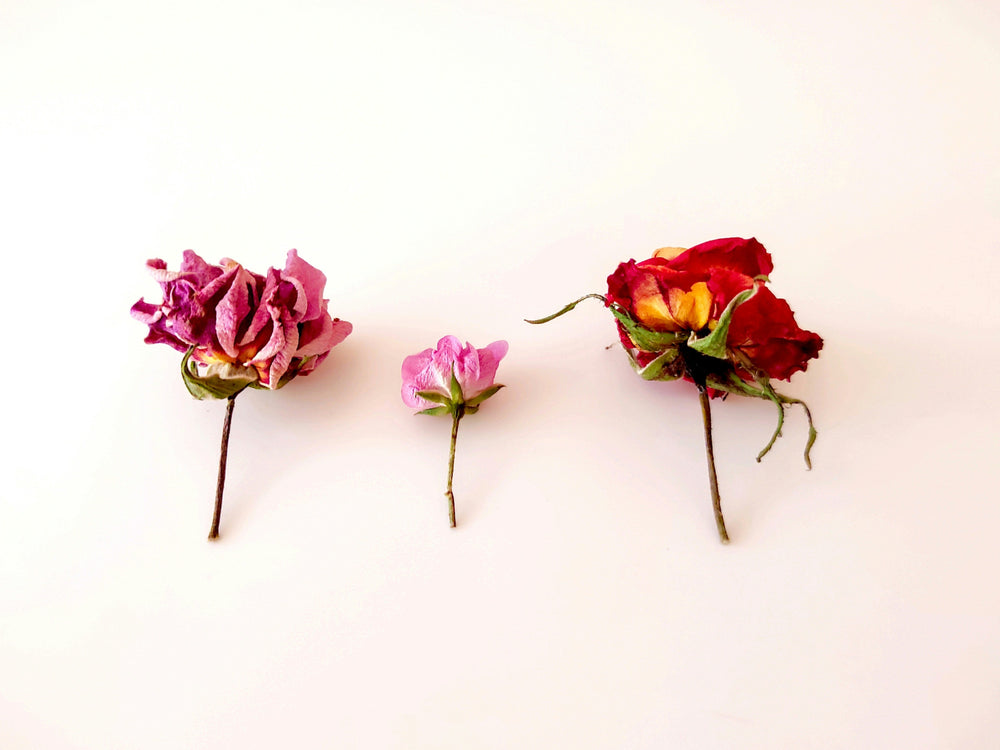 How Many Days After Your Period Can You Get Pregnant? needed.