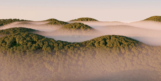 Fertility's Hidden Roadmap: Knowing Your High and Peak Days for Conception Success - needed.