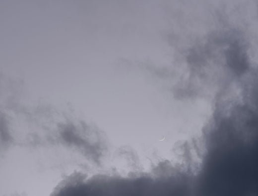 How to Support Mental Health in a Crisis - needed.