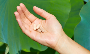 What to look for when buying a Prenatal Vitamin - needed.