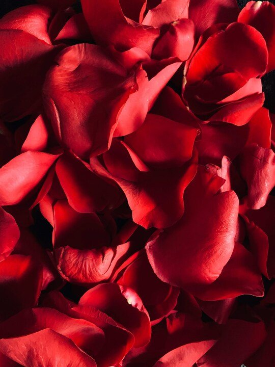 Ways to Show the New Mother in Your Life How Much You Love Her - needed.