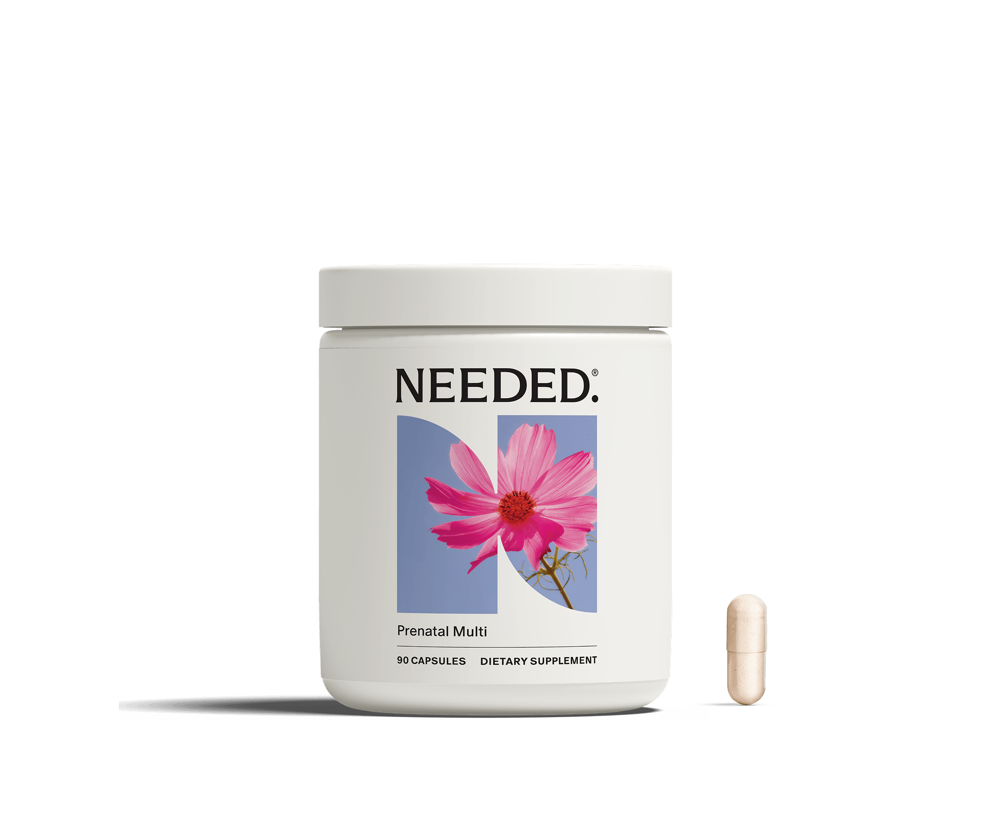 Prenatal Multivitamin - needed.
