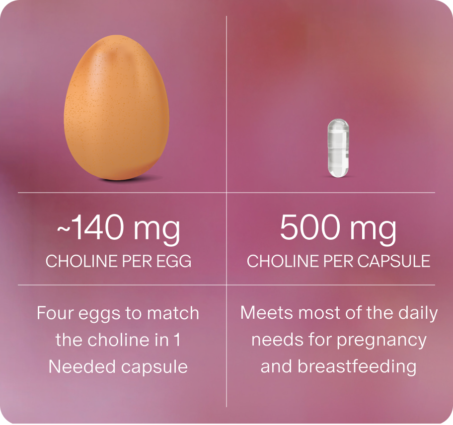 An egg beside a Needed Choline+ capsule: about 140 mg of choline per egg versus 500 mg per capsule, so four eggs match the choline in one Needed capsule, which meets most of the daily needs for pregnancy and breastfeeding.