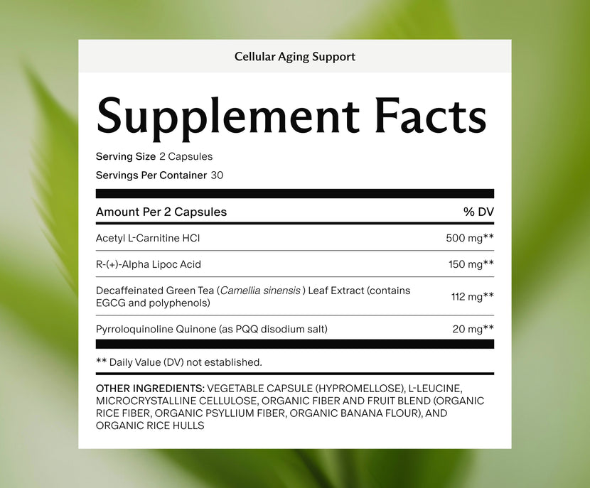 Cellular Aging Support